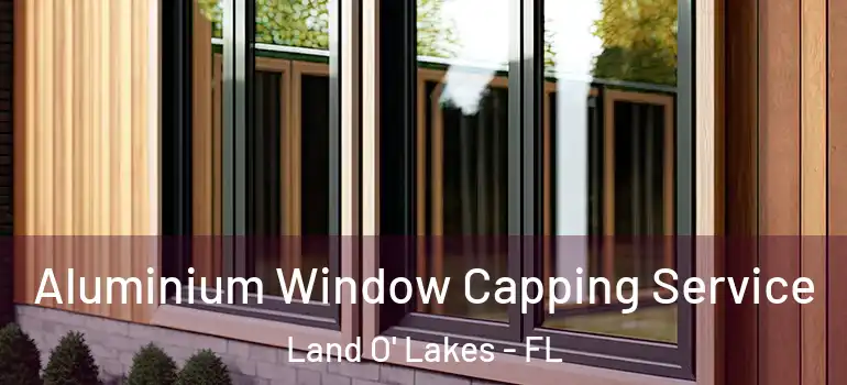  Aluminium Window Capping Service Land O' Lakes - FL