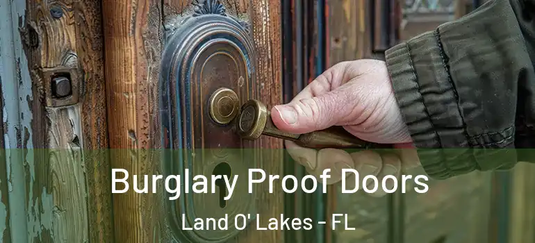  Burglary Proof Doors Land O' Lakes - FL