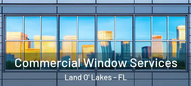  Commercial Window Services Land O' Lakes - FL
