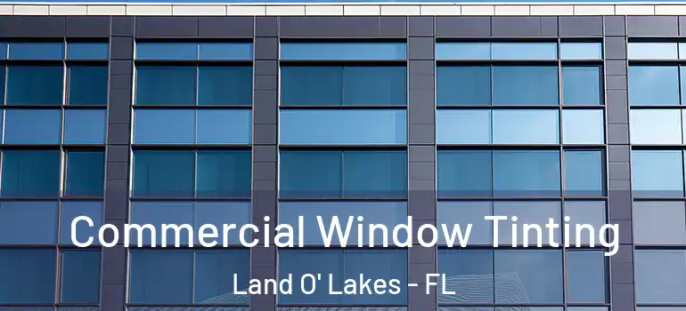  Commercial Window Tinting Land O' Lakes - FL