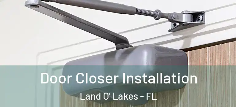  Door Closer Installation Land O' Lakes - FL