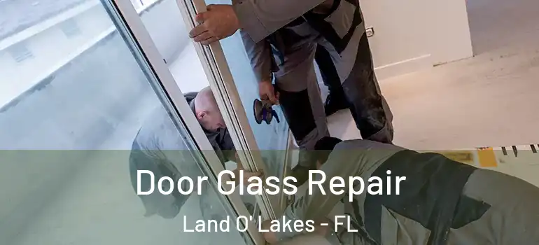  Door Glass Repair Land O' Lakes - FL
