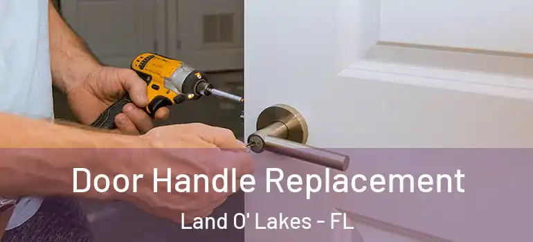  Door Handle Replacement Land O' Lakes - FL