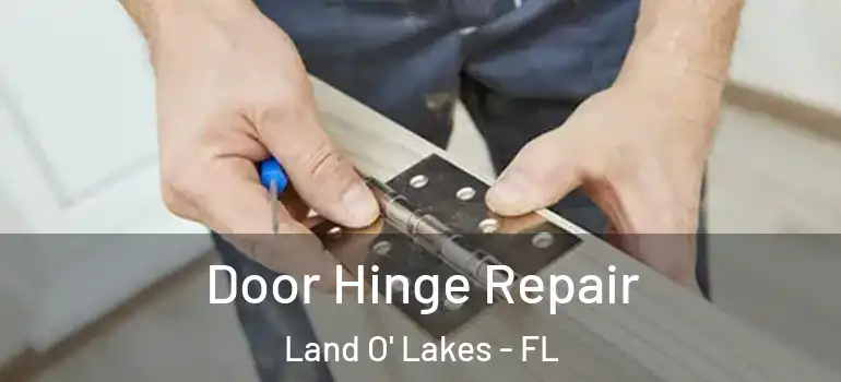  Door Hinge Repair Land O' Lakes - FL