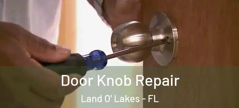  Door Knob Repair Land O' Lakes - FL