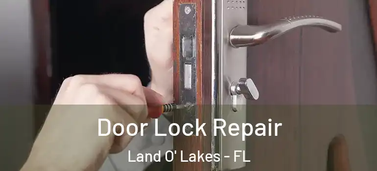  Door Lock Repair Land O' Lakes - FL