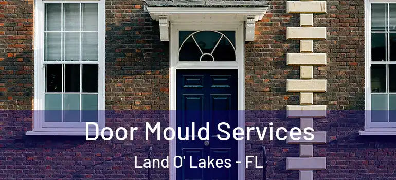  Door Mould Services Land O' Lakes - FL