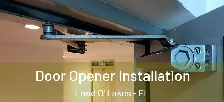  Door Opener Installation Land O' Lakes - FL
