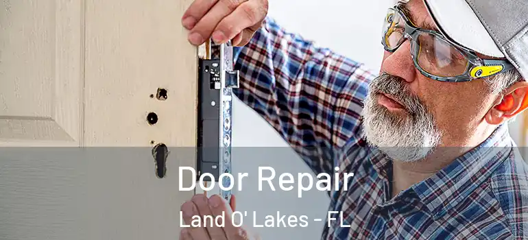  Door Repair Land O' Lakes - FL