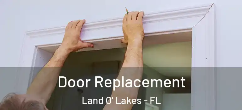  Door Replacement Land O' Lakes - FL