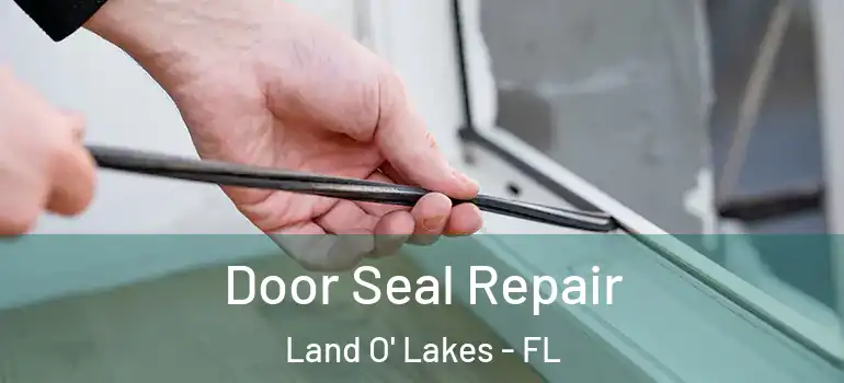  Door Seal Repair Land O' Lakes - FL