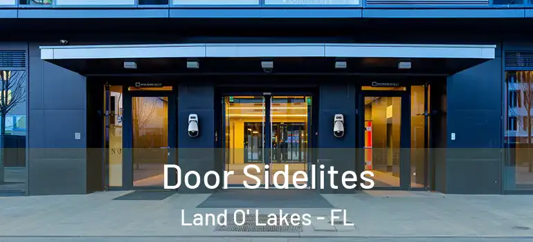  Door Sidelites Land O' Lakes - FL