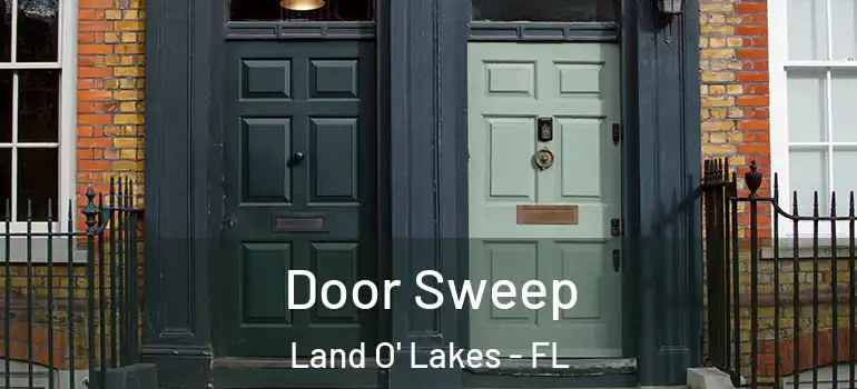  Door Sweep Land O' Lakes - FL