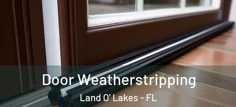  Door Weatherstripping Land O' Lakes - FL