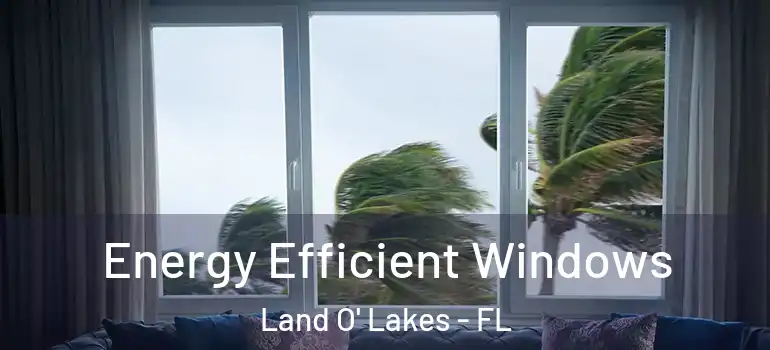  Energy Efficient Windows Land O' Lakes - FL