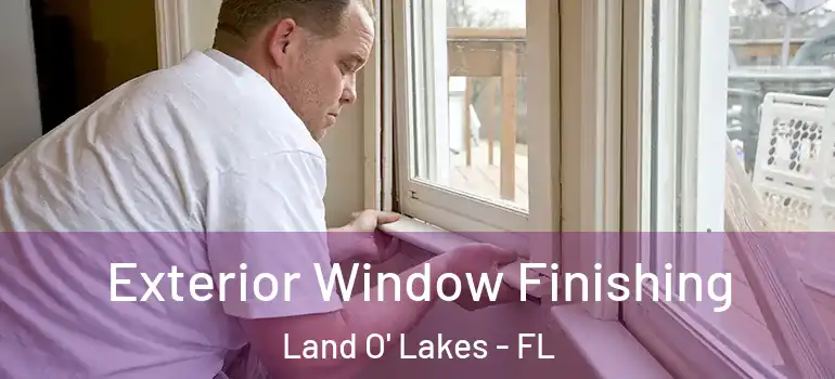  Exterior Window Finishing Land O' Lakes - FL