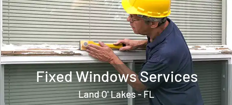  Fixed Windows Services Land O' Lakes - FL