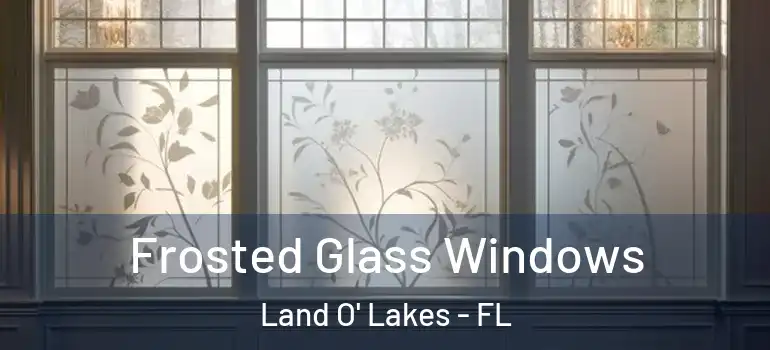  Frosted Glass Windows Land O' Lakes - FL