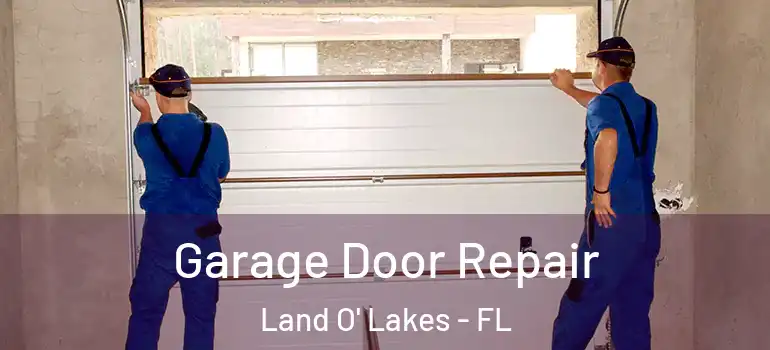  Garage Door Repair Land O' Lakes - FL