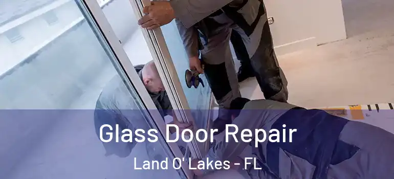  Glass Door Repair Land O' Lakes - FL
