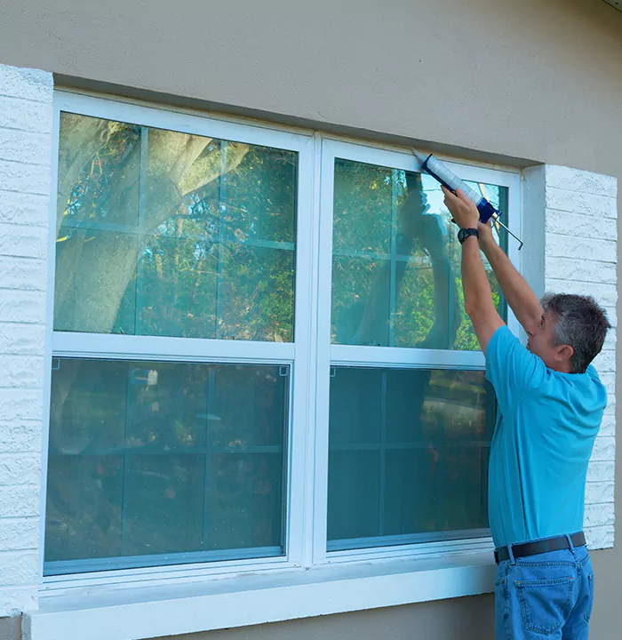 Modern Windows in Land O' Lakes, FL