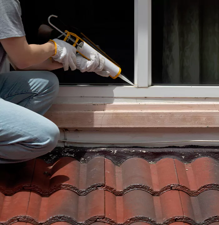 Roof Window Services in Land O' Lakes, Florida