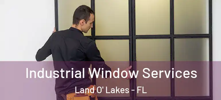 Industrial Window Services Land O' Lakes - FL