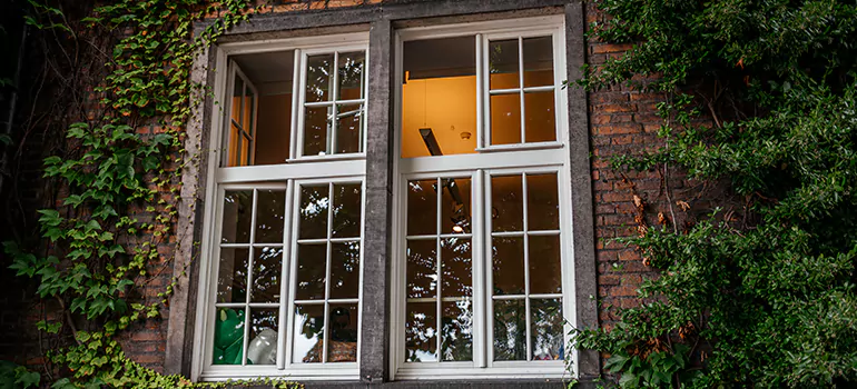 Energy Efficient Wood Windows in Land O' Lakes, FL