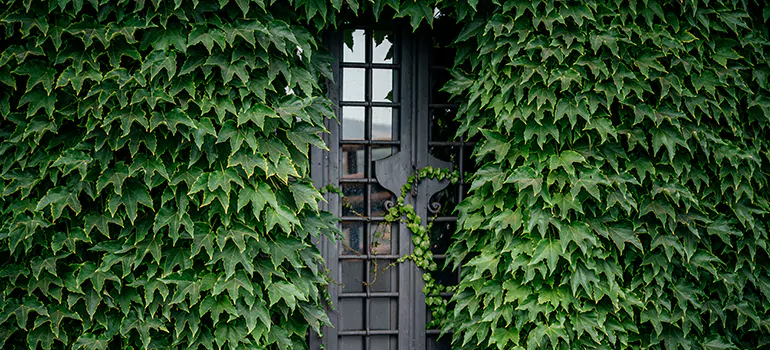Garden Gate Repair in Land O' Lakes, FL