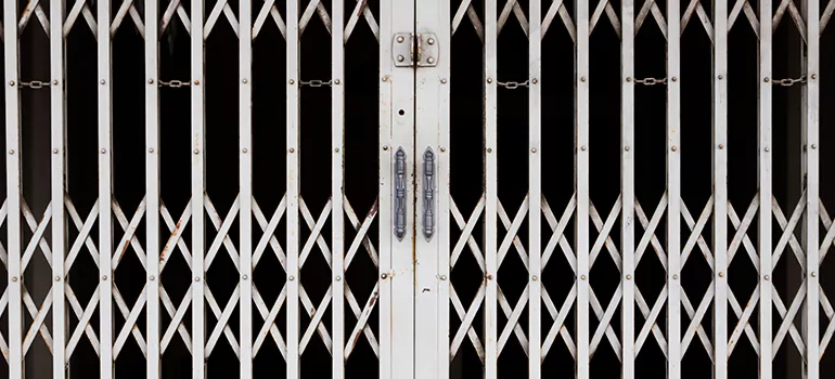 Steel Line Garage Door Repairs in Land O' Lakes, FL