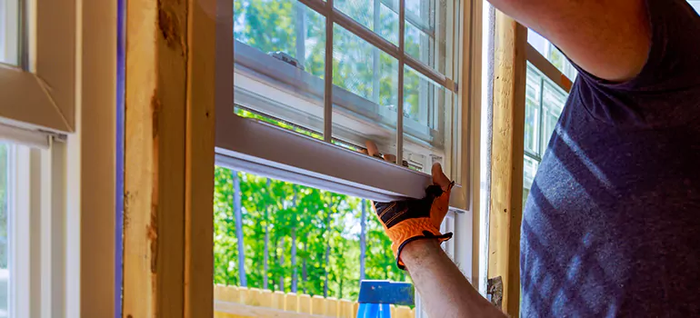 Decorative Window Film Services in Land O' Lakes, FL