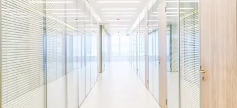 Frosted Glass Windows Replacement in Land O' Lakes, FL