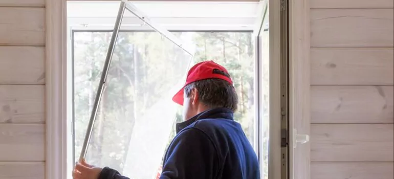 Expandable Window Screen Installation in Land O' Lakes, FL