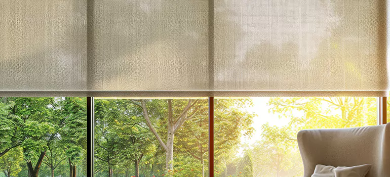 Custom Window Shades in Land O' Lakes, FL
