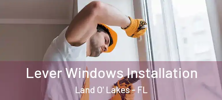 Lever Windows Installation Land O' Lakes - FL