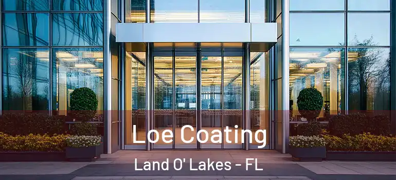  Loe Coating Land O' Lakes - FL