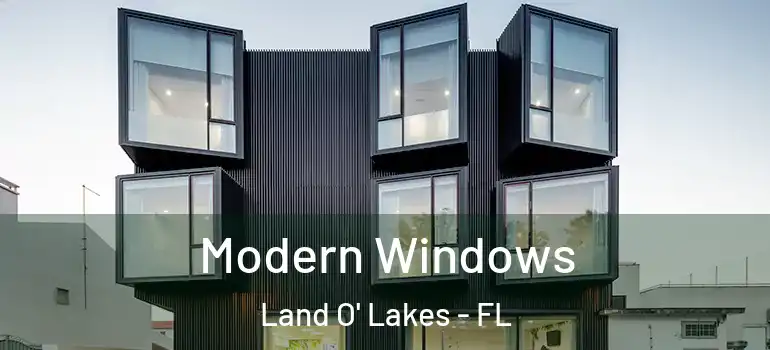  Modern Windows Land O' Lakes - FL
