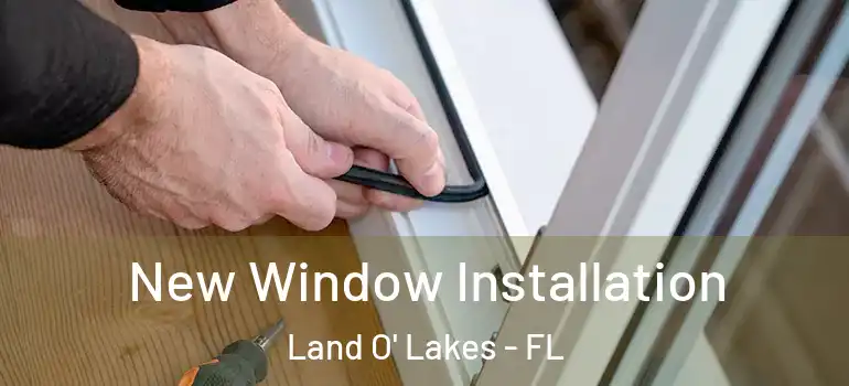  New Window Installation Land O' Lakes - FL