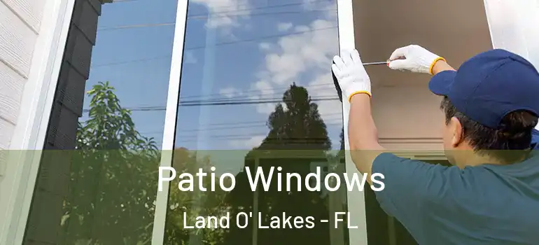  Patio Windows Land O' Lakes - FL