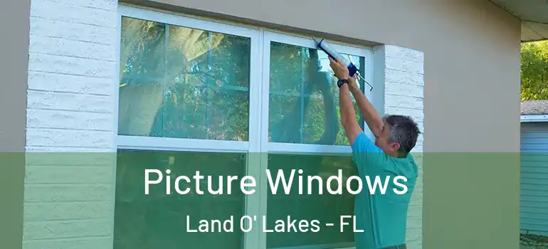  Picture Windows Land O' Lakes - FL