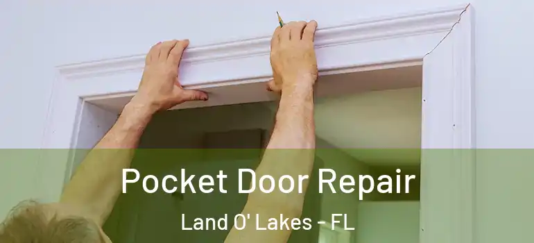  Pocket Door Repair Land O' Lakes - FL