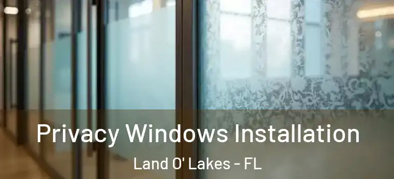  Privacy Windows Installation Land O' Lakes - FL