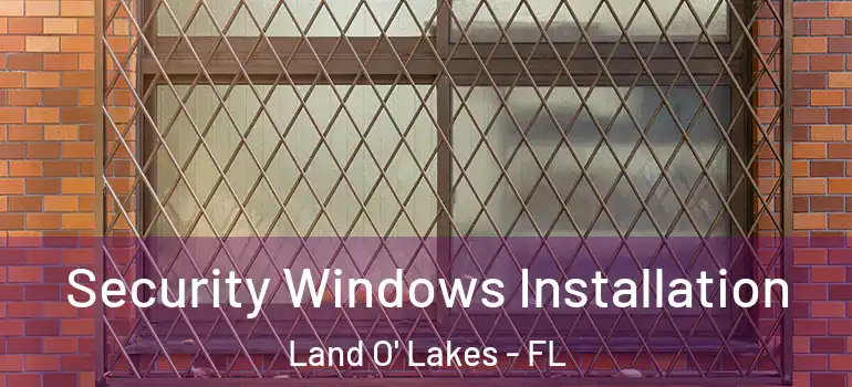  Security Windows Installation Land O' Lakes - FL