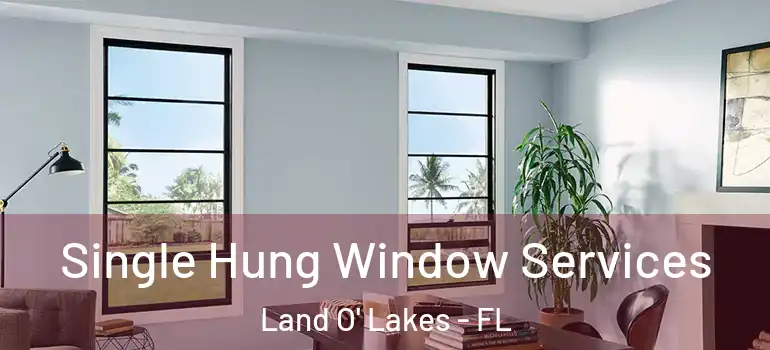  Single Hung Window Services Land O' Lakes - FL