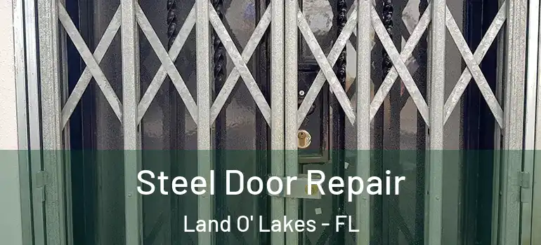  Steel Door Repair Land O' Lakes - FL