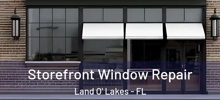  Storefront Window Repair Land O' Lakes - FL