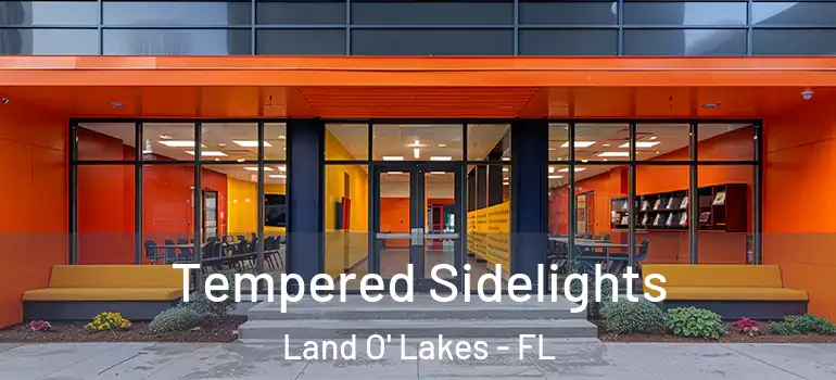  Tempered Sidelights Land O' Lakes - FL