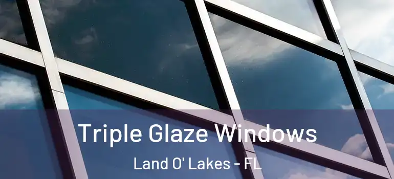  Triple Glaze Windows Land O' Lakes - FL