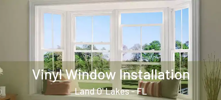 Vinyl Window Installation Land O' Lakes - FL