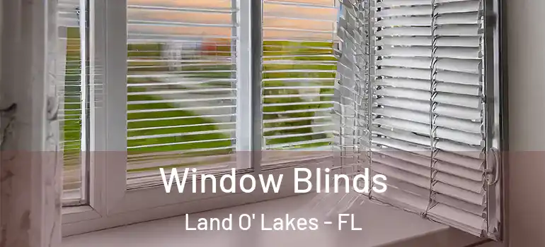  Window Blinds Land O' Lakes - FL